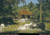 Niue - cottage. Burnt lime and iron roofed cottage. Coral outcrops.