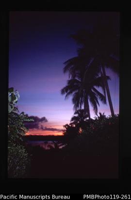 'Vila sunset and palm tree'