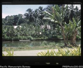 "View from front door of VSO Lodge, Honiara"