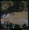 "Baptisms at Kumbwareta (local name for Baiyer church & community). (Just down in the ho...