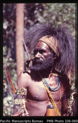[Lani or Western Dani man, with cassowary feather head dress, yellow orchid stem necklaces, intro...