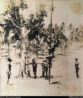 Group of men climbing 'the greasy pole' at Christmas party, Wintua, South West Bay Malekula