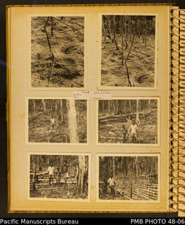 Photograph album, page 4: Marau - garden layout and fence, pana layout