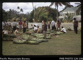 'Baskets of tomatoes being sorted near the Education Department prior to packing for export to Ne...
