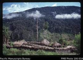 Highlands Clan Compound, Baliem Valley