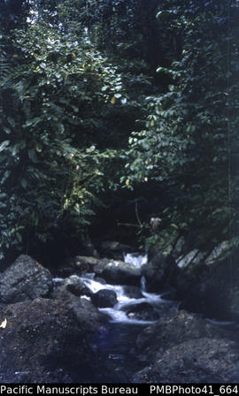 Pagato River, Wainoni, Makira