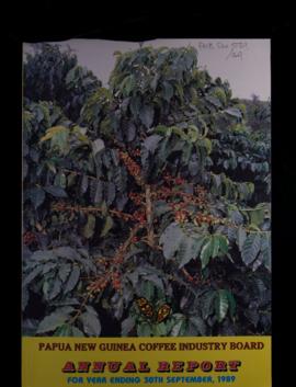 PNG Coffee Industry Board, Annual Report for Coffee Year Ending 30 September, 1989