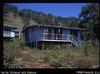 Front of June Valley House (1/3/66 ) [Bill Gammage]