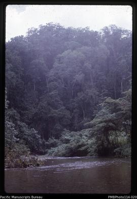 'Tenaru River and bush, Guadalcanal'