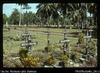 Alexishafen RC [Roman Catholic] Mission cemetery             Brother Eugene [died Chimbu Province...