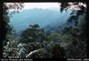 Kokoda Trail Looking back from Imita Ridge  [Jan Gammage caption, Carl Loeliger photograph]