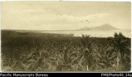 ‘Pacific Island Plantation Bismarck Group. Photo A*. 1914.’ [Postcard.]