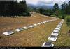 NZ [New Zealand] Military Cemetery S [south] of Bourail