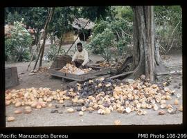 Shelling cacao at Mele village, Efate, NH [New Hebrides]