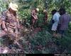 [Inspecting "unexploded ordinance" (bomb), Nissan, Bougainville]