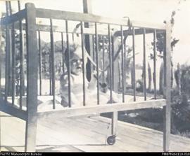 'July 1940', Janet Stallan in cot, Wintua mission station, South West Bay, Malekula