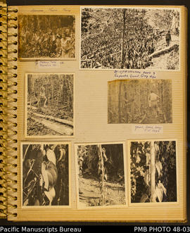 Photograph album, page 1: Yams, Kirakira and Guadalcanal