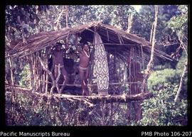 [Tree house displaying a shield, Korowai tribe]