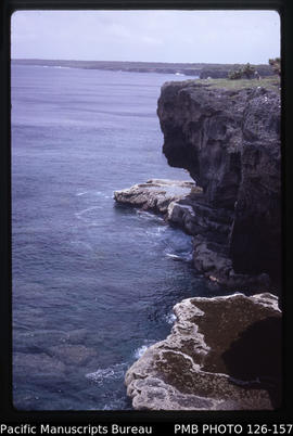 'Cliffs and coral formations at Hufangalupe, looking west, Tonga'