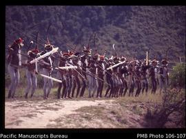 [Row of Dani warriors pretending he will throw his spear at me; I (Muller) had paid for a simulat...