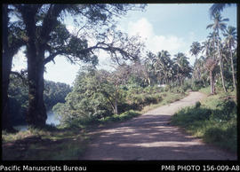 Road past the falls toward Falevao village and the other side of the island, Upolu, Samoa