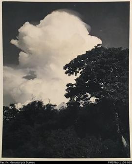 Large cloud rising behind trees, probably Malekula