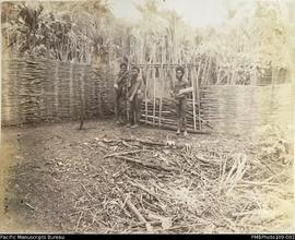 'House defences of wild cane. Double fence with ten inch gap between', Big Nambas area, Malekula