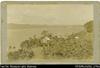 Board-mounted photograph of plantation[?] buildings near the coast (Duplicate of 170, also board-...