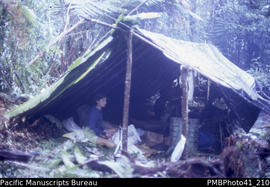 'Camp at 4,700 feet, Mt Popomanisiu, Guadalcanal'
