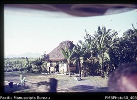 Thatched house with banana palms
