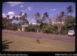 'Hedge in front of garden at 30 Beach Road, Suva with ANU-hired Fiat research car, Liz Baker and ...