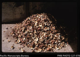 'Pile of dried copra from copra drier, Fiji'