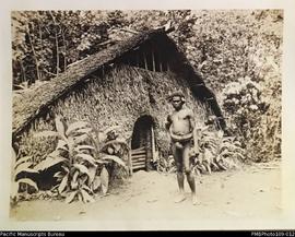 'Dwelling house and tobacco', Big Nambas area, Malekula