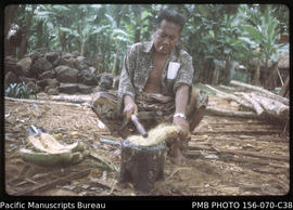 Beating coconut shell fibre for making sennet [cord] , Upolu, Samoa