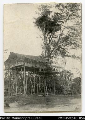 ‘3. 1914 Papua Tree House.’ [Koiari?] [Photo print.]