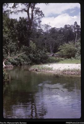 'Bush village by Tenaru River, Guadalcanal'