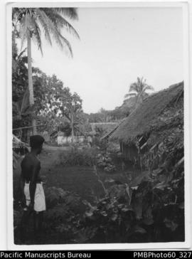 Village scene: ni-Vanuatu man looking towards thatched houses