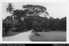 Madang [Madang District, road, trees]