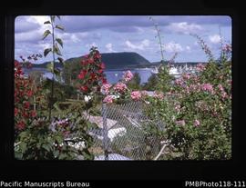 'Vila harbour and flowers'