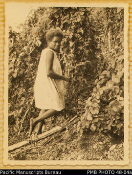 Mrs Bombala in yam garden, Guadalcanal