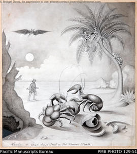 'Kovia' or Great Land Crab of Sir Francis Drake.'