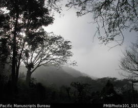 [Bukuya to Sigatoka road in the fog]