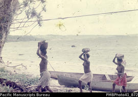 [Women] Carrying coral gravel for path along west side of Gracioza Bay, Ndende, Santa Cruz