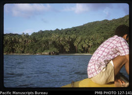 'Punt coming into small private coconut planting, Fiji'