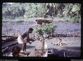 'Adzing out the bow of a dugout canoe, on the tidal flat behind Vori village, Ranonnga Island'
