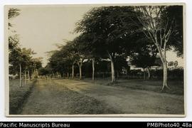 ‘Road in Rabaul. 1914’ [Postcard.]