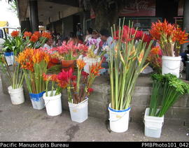 [Suva Women selling flowers on the street]