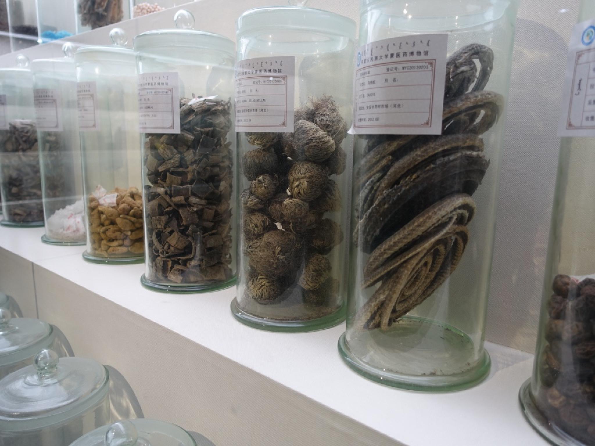 Alternative Medicine