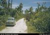 Niue - Road and vegetation.