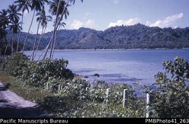'Road, Lambi, Guadalcanal West'